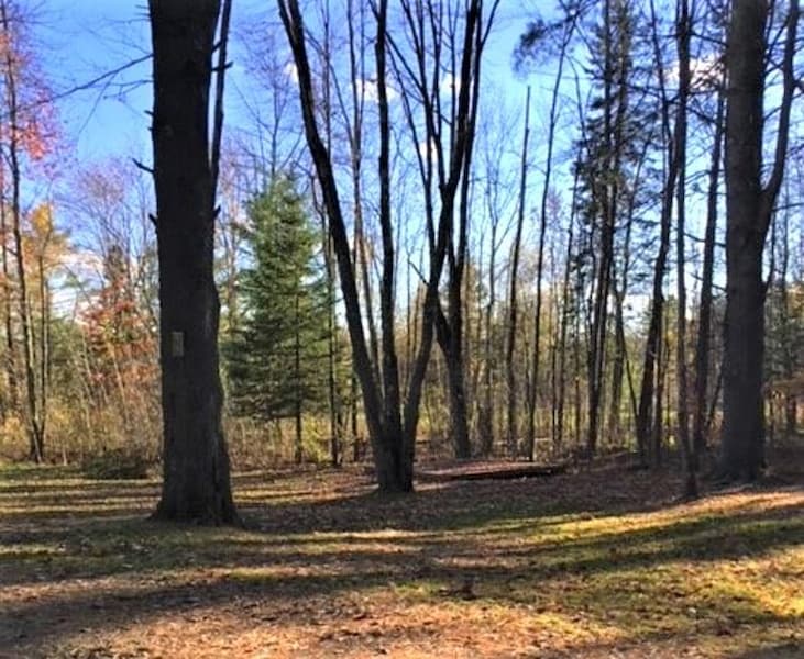 Tent Site-8